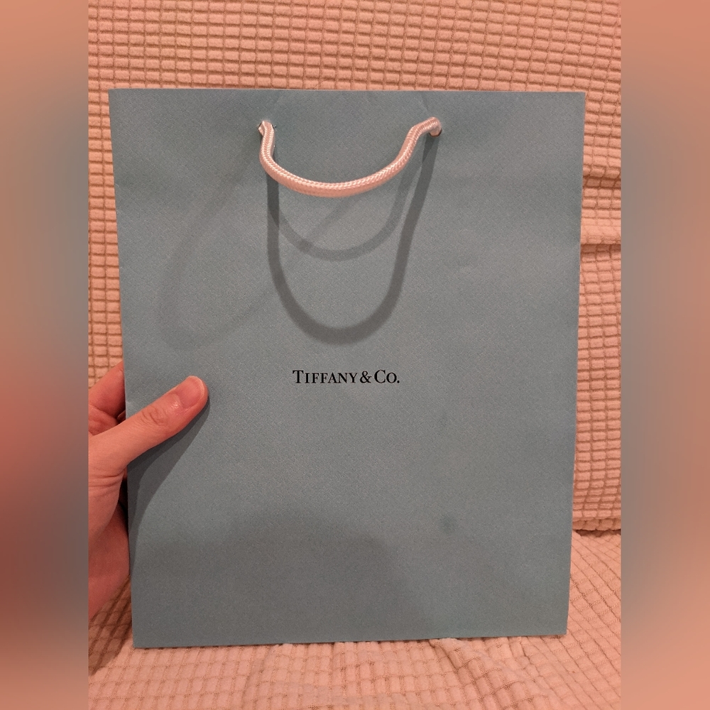 Tiffany and co shopping bag